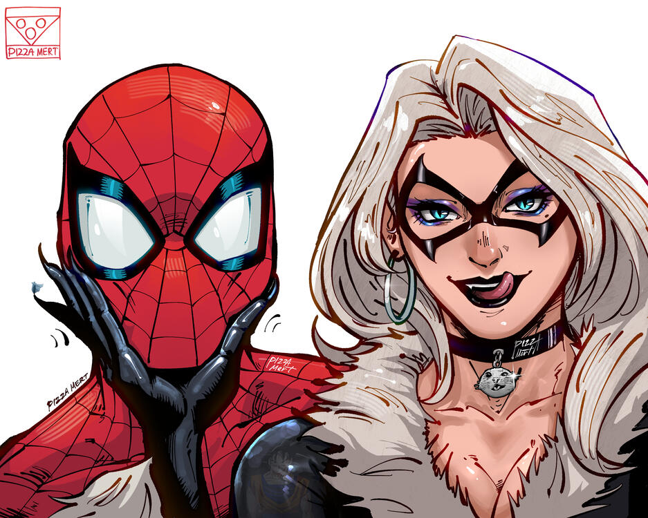 Spider-Man & Black Cat